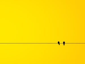 1万円未満の課税仕入れはインボイス不要となる「少額特例」とは？