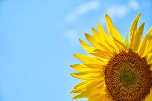 今月から本格的に税理士業務を開始します！